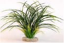 Augalas plastikinis Fan grass 30cm